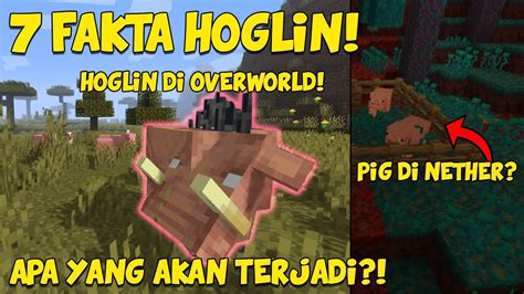 Apa Sih Bedanya Hoglin Dan Pig Teori Minecraft Indonesia Youtube