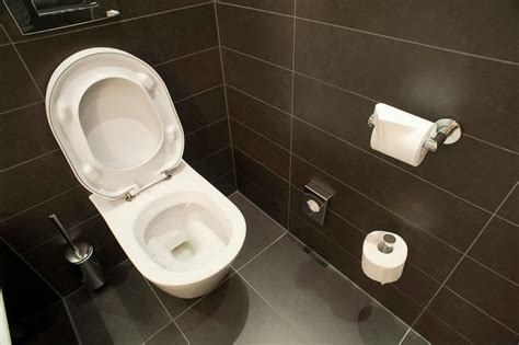 The only exception is a pedestal squat toilet, which is of the same height. Types Of Water Closet - Relemech