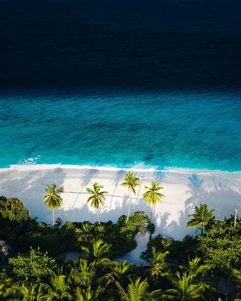 Beach Sea Palm Trees Aerial View Hd Phone Wallpaper Peakpx