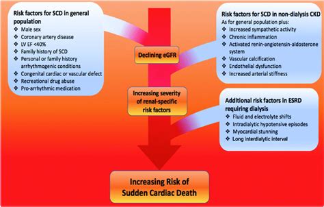 Risk Factors For Sudden Cardiac Death In The General Population In Download Scientific Diagram