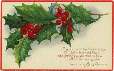 Stetcher Holly And Berries ~ Free Christmas Image Old Design Shop Blog