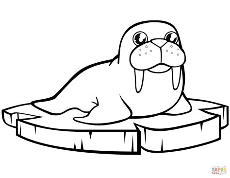 Enjoy free printable coloring pages for kids, find a picture you like and get started! Baby Walrus Coloring Coloring Pages