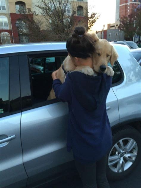And This Dog Who Understands That Goodbyes Are The Hardest Dog Love