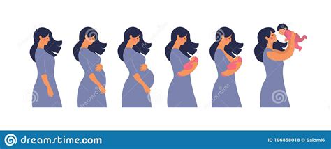 The Main Stages Of Pregnancy And Motherhood Set For Infographics And