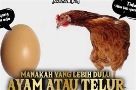 Mengejutkan Ayam Atau Telur Duluan Nih Inilah Jawaban Cerdas Abu