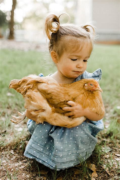 Little Girl Holding Chicken By Stocksy Contributor Erin Drago Stocksy