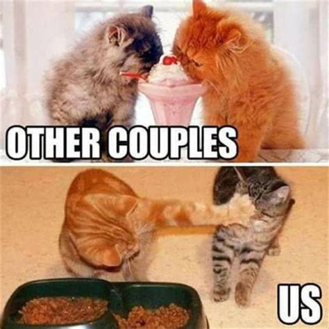 22 Hilarious Memes That Sum Up Marriage Red Tricycle Funny Cat
