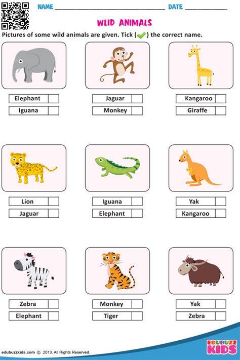 Pet Animals Name For Ukg Class Anna Blog