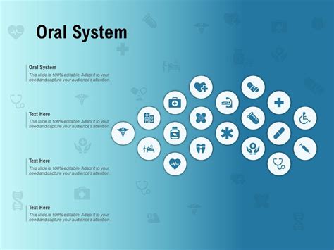 Oral System Ppt Powerpoint Presentation Layouts Examples Powerpoint