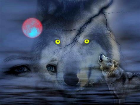 Download Wallpaper For 1366x768 Resolution Night Of Wolves Nature
