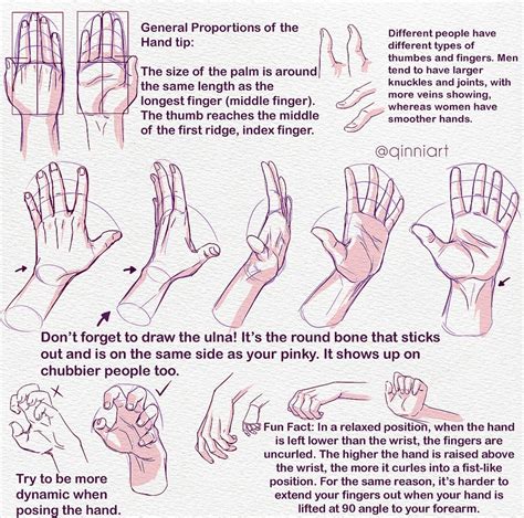 pin by jasiel orta on tips anatomy hands tutorial how to draw hands drawings