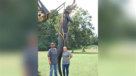 Hunter Makes Massive Score Record Breaking Alligator In Georgia Kiro