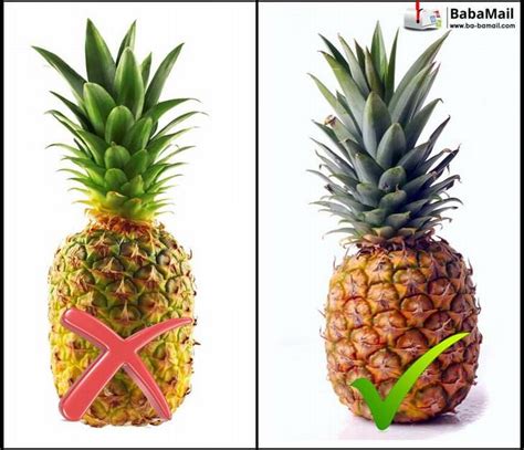 How long does passion fruit last? Guide: How to Choose Ripe Fruit