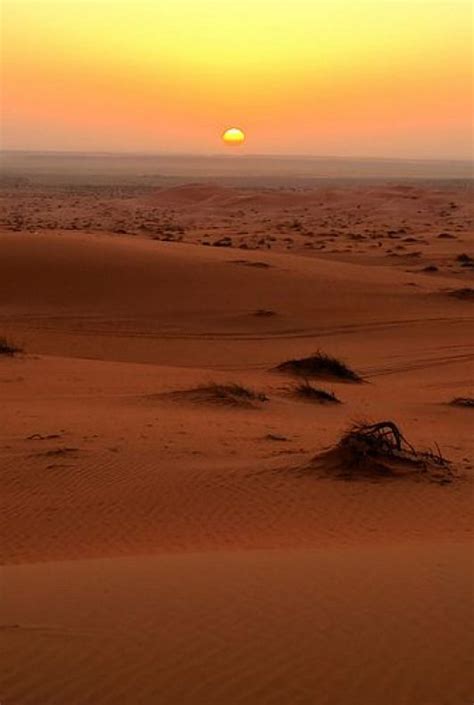 Desert Sunset Arabian Desert Saudi Arabia Saudiarabia Saudi Arabia