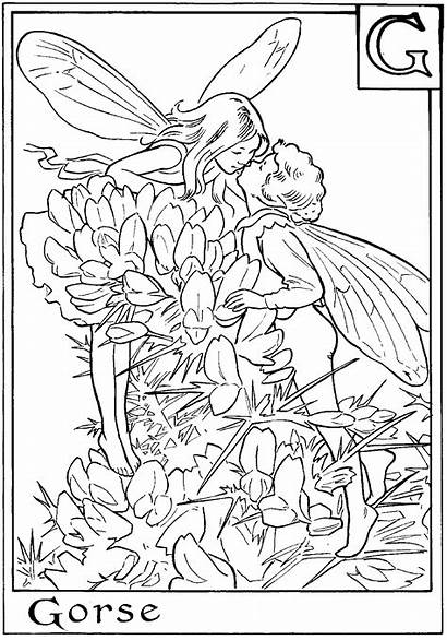 Coloring Pages Fairies