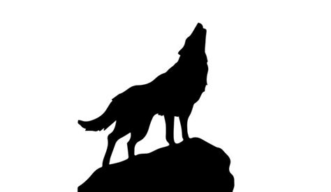 Wolf Silhouette Photos Royalty Free Images Graphics Vectors And Videos