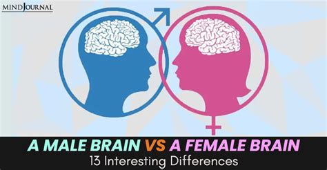A Male Brain Vs A Female Brain 13 Interesting Differences