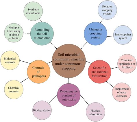Frontiers Evolutions And Managements Of Soil Microbial Community