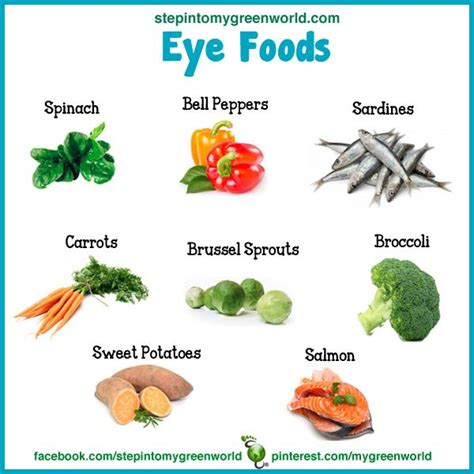 The Link Between Nutrition And Eye Health Foods For Optimal Vision
