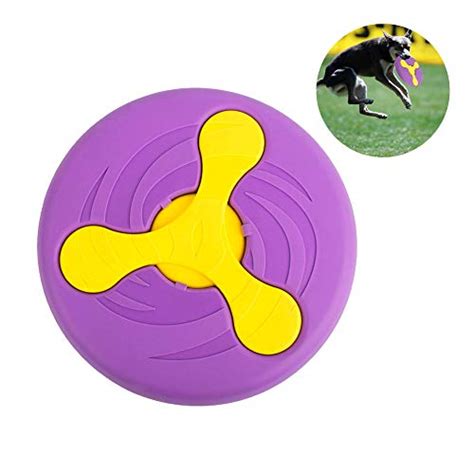 Top 30 Best Dog Frisbees Reviewed In 2023 Petstruggles