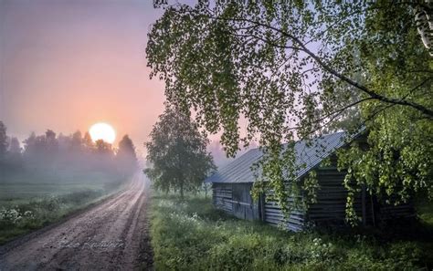 🇫🇮 Summer Morning In The Country Finland By Asko Kuittinen 🌲