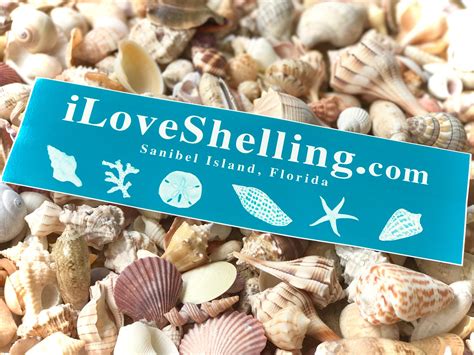 Iloveshelling Goodies Giveaway I Love Shelling