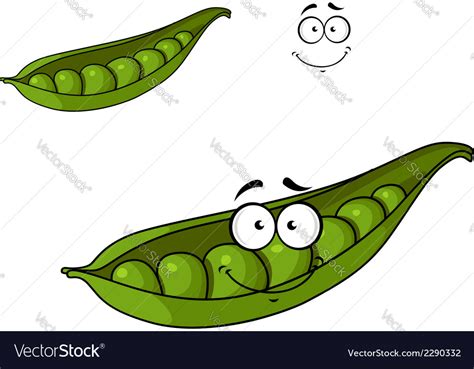Fresh Green Cartoon Peas In A Pod Royalty Free Vector Image