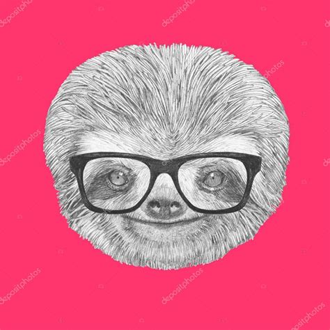 Portrait Of Sloth With Glasses — Stock Photo © Victorianovak 131369136