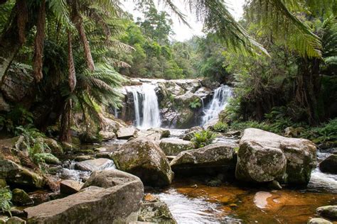 Best Waterfalls In North Tasmania To Seek Out Travelsewhere
