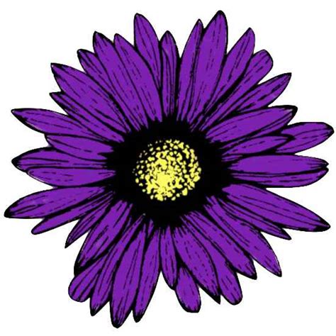 E 1003 Purple Daisy Purple Daisy Design