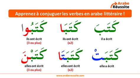 Apprendre la conjugaison en arabe littéraire  Apprendre l'arabe, Arabe