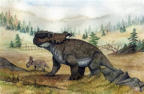 Pachyrhinosaurus Wiki Ark Survival Evolved Br Amino