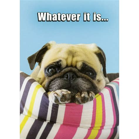 Oatmeal Studios Whatever It Is Pug Funny Humorous Dog Themed Get Well