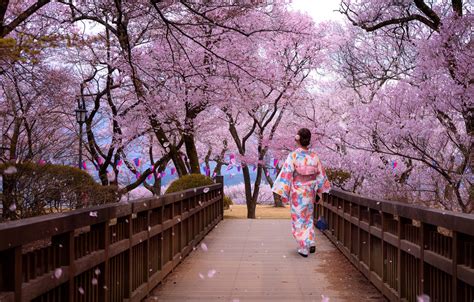 Wallpaper Trees Park Woman Japanese Spring Petals Japan Sakura