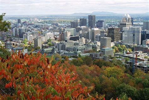 File:Downtown seen from Mont-Royal.jpg - Wikimedia Commons