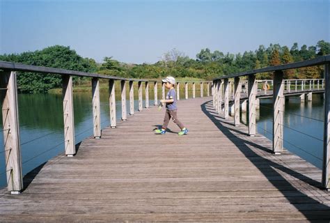 Hong Kong Wetland Park Give It A Miss Toucan Takes Off