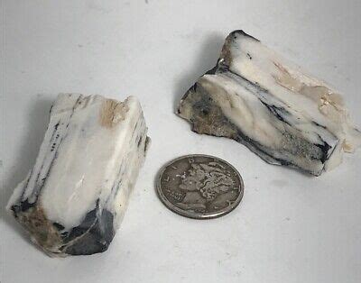 White Buffalo Turquoise Stones 2 Tonopah Nevada 30 96 Grams