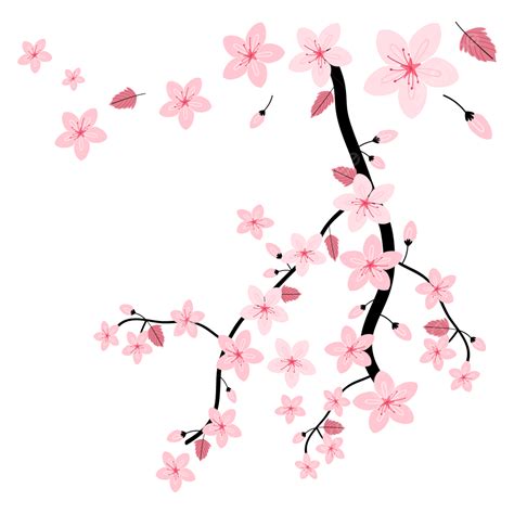 Sakura Cherry Blossom Vector Hd Images Cherry Blossoms Pink Sakura 46 Spring Branch Tree Png
