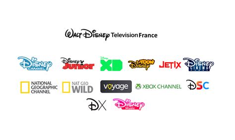 Walt Disney Television France Subsidiariesrebrand By Melvin764g On