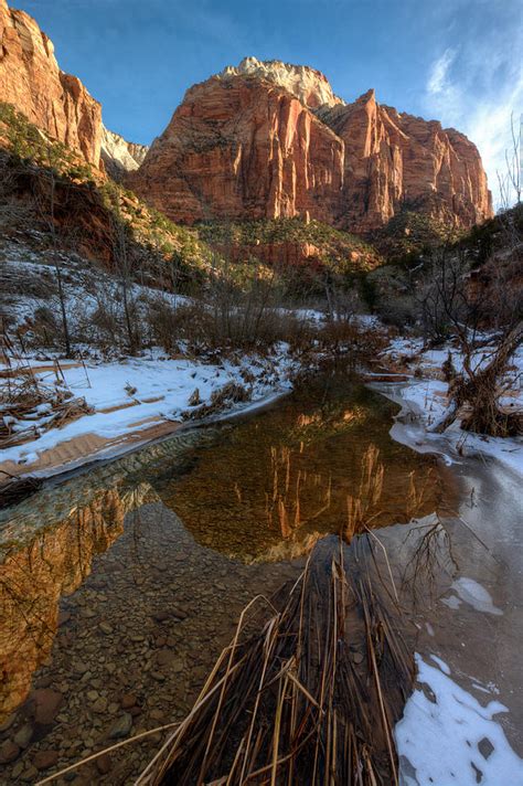 Early Morning On Pine Creek In Zion Np Photograph By Jeff Clay Fine