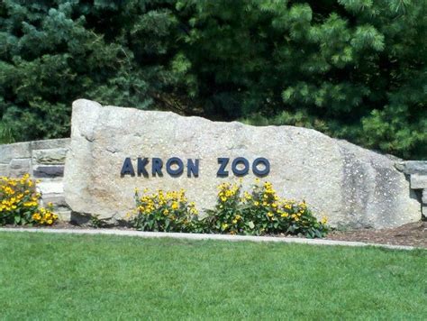 Pin On Zoo Akron Zoooh