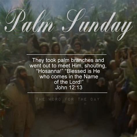 The Word For The Day • They Took Palm Branches And Went Out To Meet Him