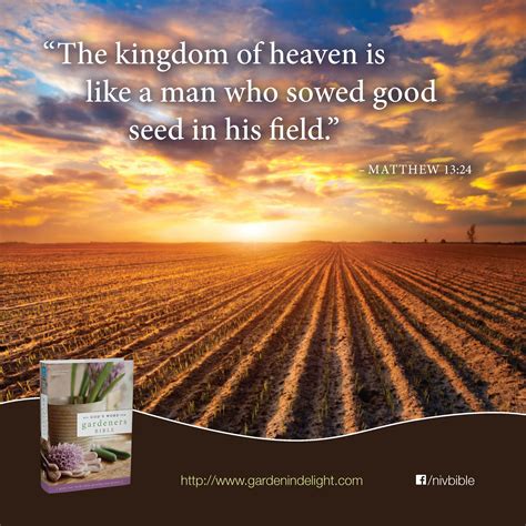 The Kingdom Of Heaven Is Like A Man Who Sowed Good Seed In His Field