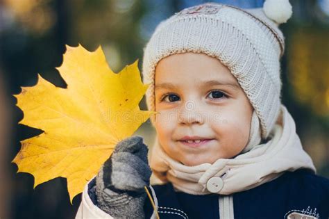A Portrait Of A Little Handsome Smiling Boy In The Autumn Forest Or