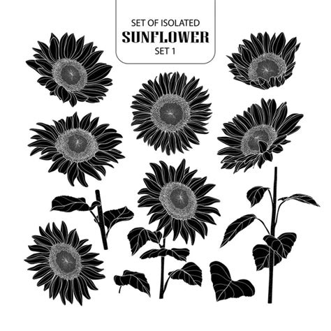 Set Of Isolated White Silhouette Sunflower Set 2 — Stock Vector