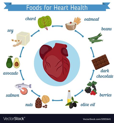 Healthy Heart Foods Infographics Royalty Free Vector Image