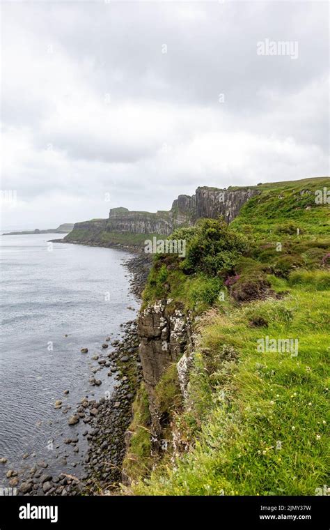Isle Of Skye Sea Cliffs Near Kilt Rock On The Trotternish Peninsula