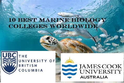 10 Best Marine Biology Colleges Worldwide Jimiatips