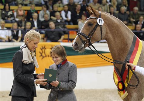 Die fünfkämpferin erhielt 0 punkte. Trakehner Siegerhengst Donauruf kostet 300.000 Euro