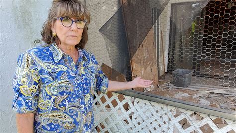 Dozens of cats, appliances in the yard, mold, and oh! the smell: How